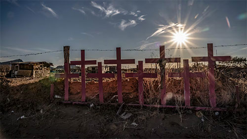 Cruces campo algodonero
